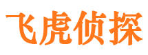 泉港市侦探调查公司